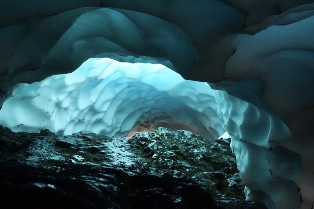 Iain Cameron tweet media