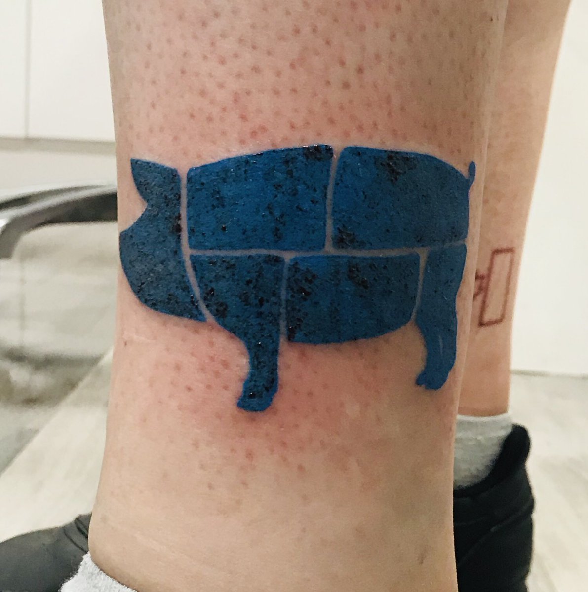 Mija_Rex's tweet photo. No matter how tough, how bad, or how good life gets, I’ll always have @FoilArmsAndHog and my FAHriends with me each step of the way. 💙🐖 xx https://t.co/K0qropX7zX