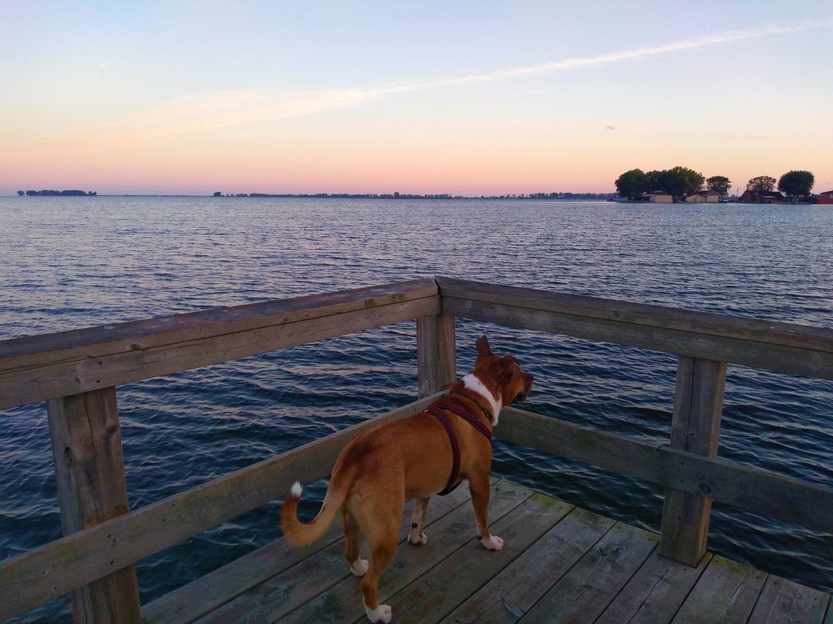 ilija_dimeski's tweet photo. The beautiful and picturesque community of Mitchell's Bay in #ChathamKent #BeautifulCK #ckont #CKToday #LivingCK https://t.co/jDA4dkIb5v