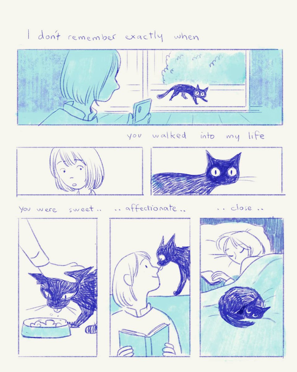 Recent thoughts 
I guess also #InternationalCatDay 