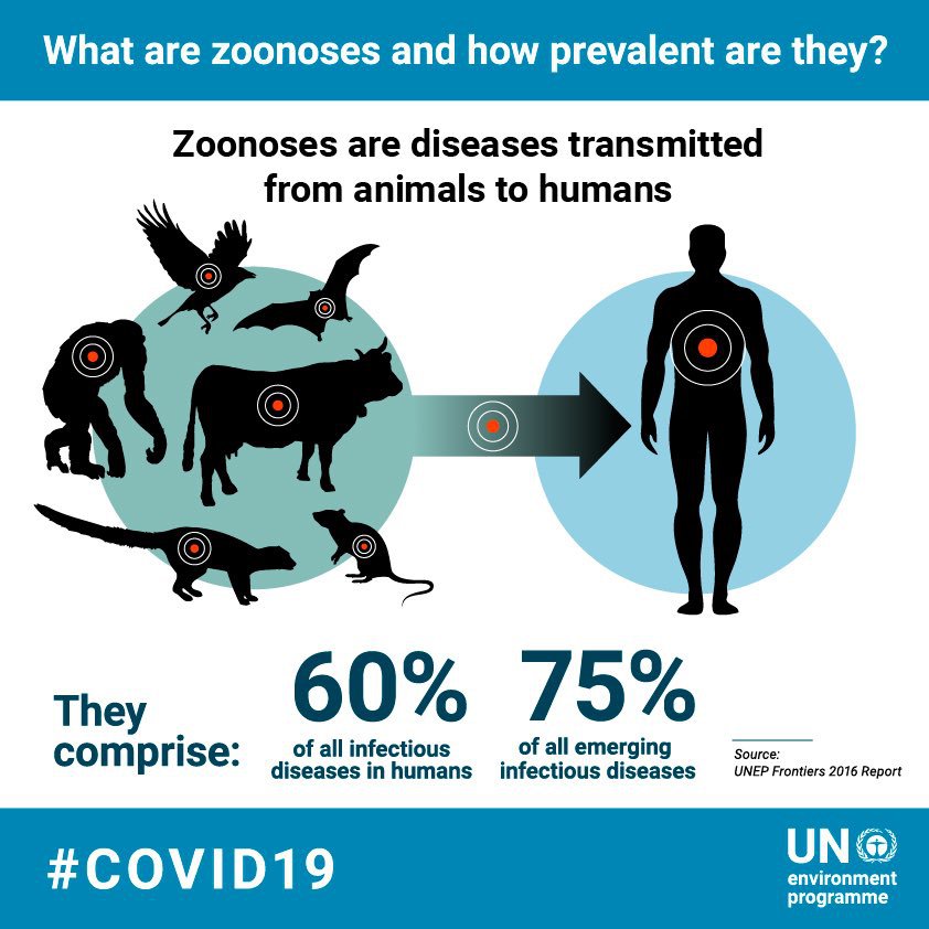 The 1918-1919 pandemic, which started on a Kansas chicken farm, killed more, in a few months, than the whole of World War One.
Ebola, HIV, SARS, etc, all came from our use and abuse of animals.
We never learn.
Go #Vegan 🌱🌍
Break the cycle.