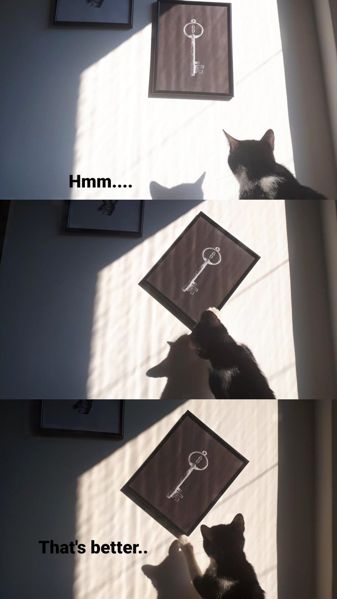 My interior designer cat 👷‍♂️
#InternationalCatDay 🐱