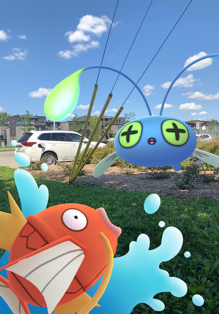 shiny_cat's tweet photo. That’s not a golden magikarp
My luck for shiny magikarps has been poopy (only 3 thus far), but hey. Shiny random incense attracted chinchidou!
#pokemongo #pokemongocommunityday https://t.co/U9mxbIcUr3