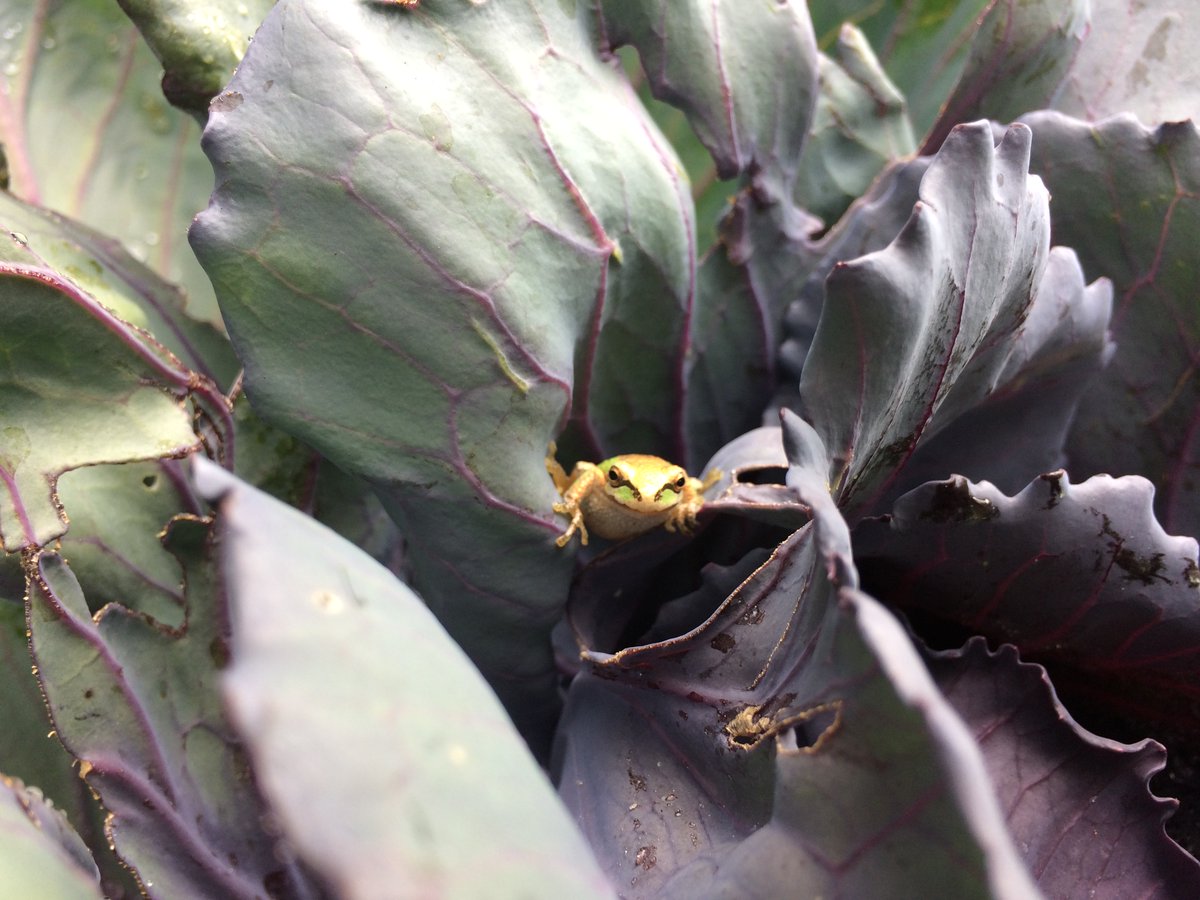 Top down (policy), and bottom up (lifestyle).Focus on solutions, no panaceas. #GreenNewDeal  #ClimateAction    #FoodNotLawns  #Biodiversity  #Veganic  #Permaculture  #BeeTheChange