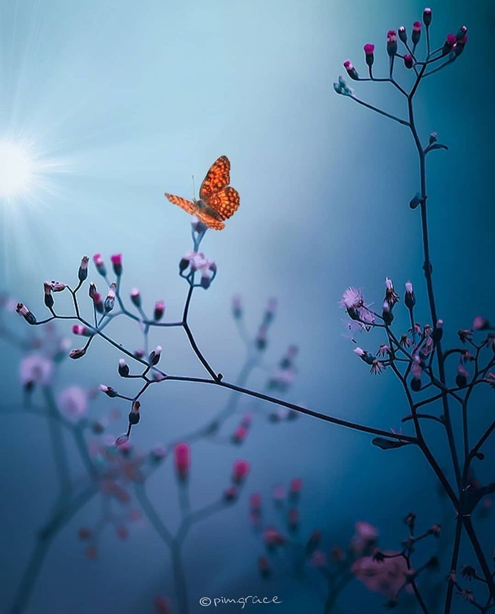 Good night friends 🤍🖤🤍