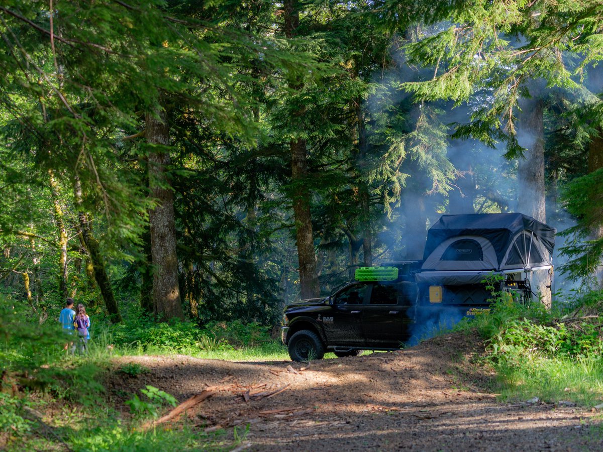 theLoneOverland's tweet photo. Get lost in a forest somewhere. https://t.co/OJn0zLAjxw