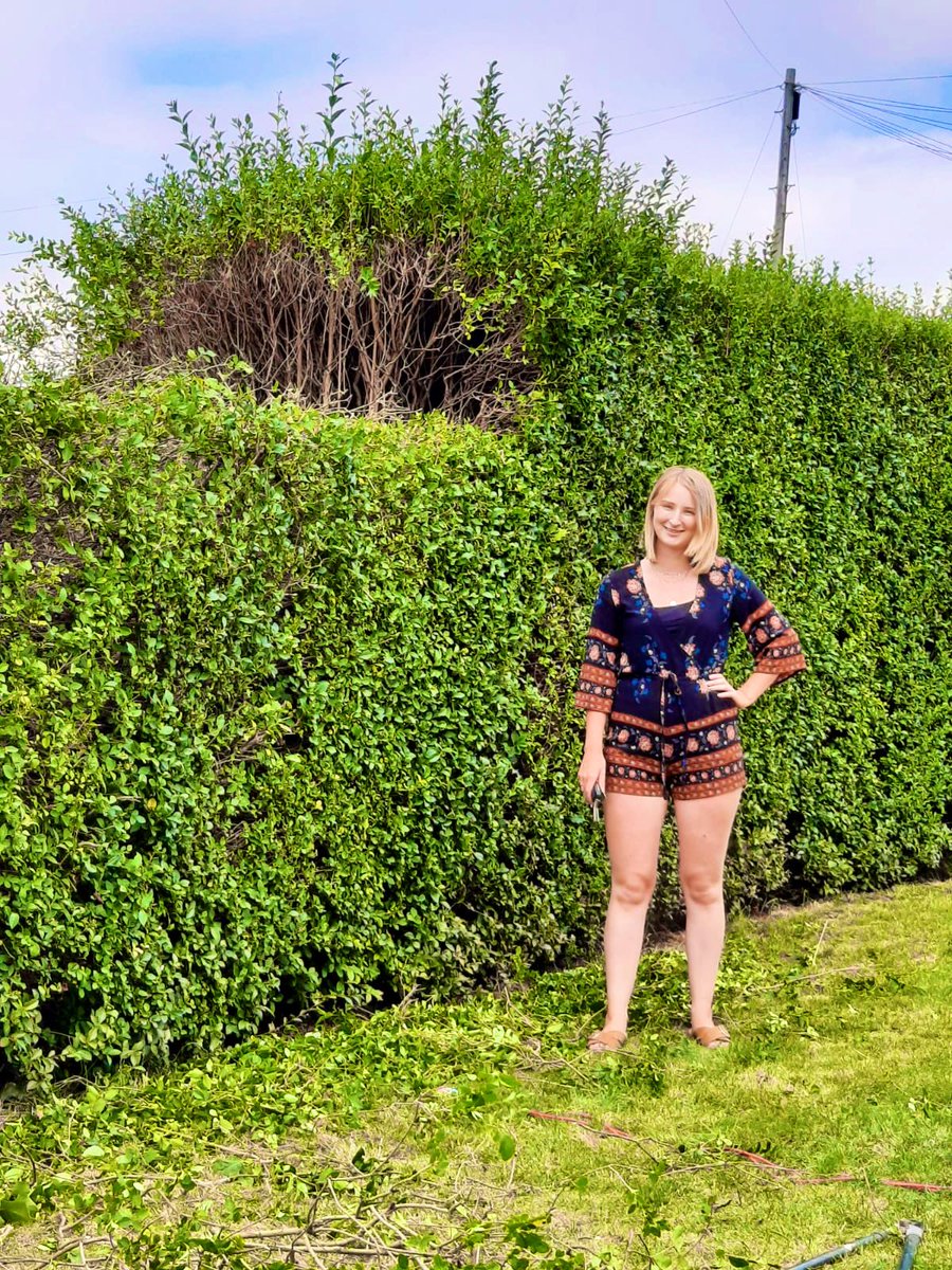 Sowfaii's tweet photo. Finally tackled the height of the beast! Our hedge is now my height instead of 2 of me! 😂

It’s still 2.8m wide tho 😳😳😩 https://t.co/j9ubuncfYa