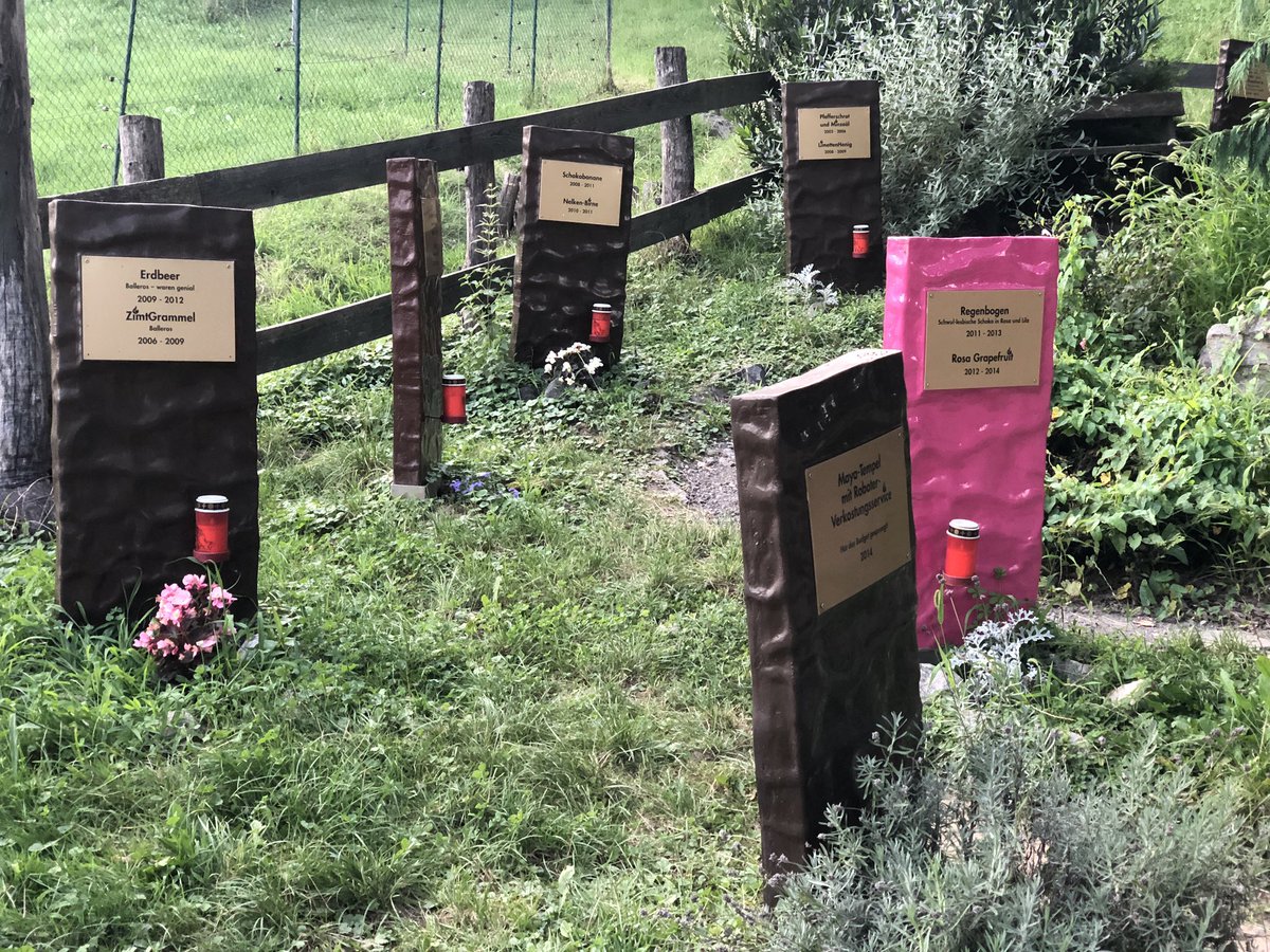 Žiga Hajduković tweet media