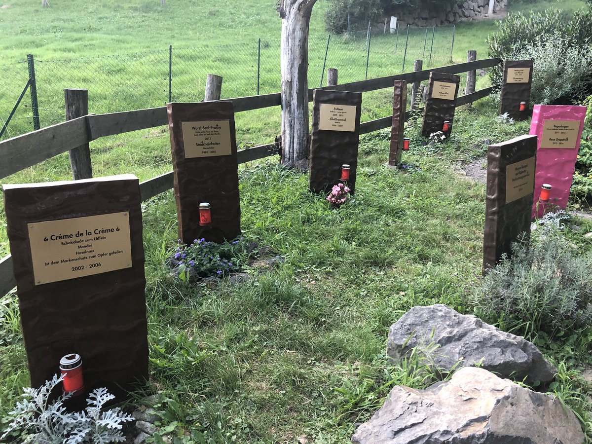 Žiga Hajduković tweet media