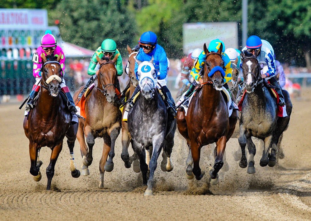 torijada6's tweet image. Happy Travers day circa 2015! Someone remembered his glory days since he had no problem with gallop sets up hills today 😆🕺🏻 #smarttransition