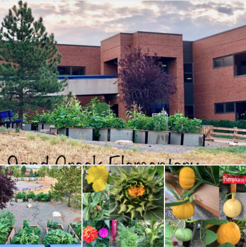 Thank you PTO and Mrs. Durante for all you hard work this summer. The garden is the perfect outside classroom for our Eagles! #EaglePride #SCEGarden #SOAR