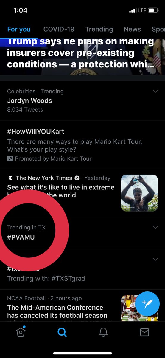 kashwiththert's tweet image. We love to see it 😌 congratulations #pv20 🥳🐾