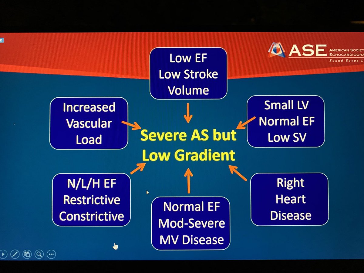Hany Ragy tweet media