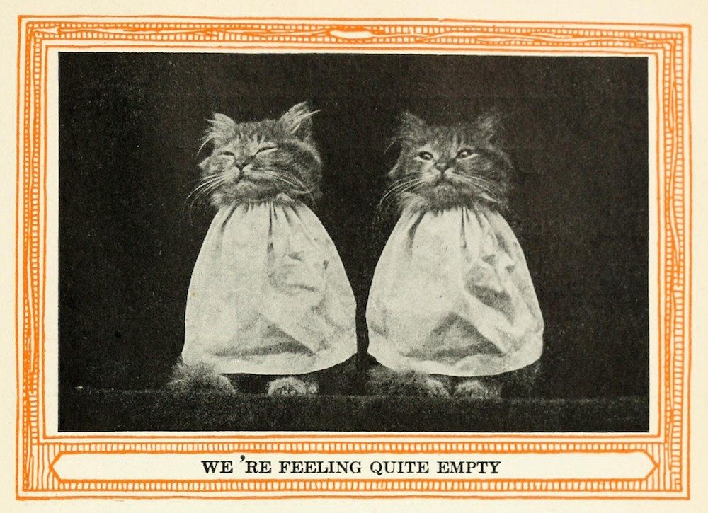 PublicDomainRev's tweet photo. This 1911 book shows that taking photos of cats and furnishing them with an amusing caption is far from being a phenomenon born with the internet... https://t.co/m1cyMSYukQ #InternationalCatDay https://t.co/FWfQOFrQrg