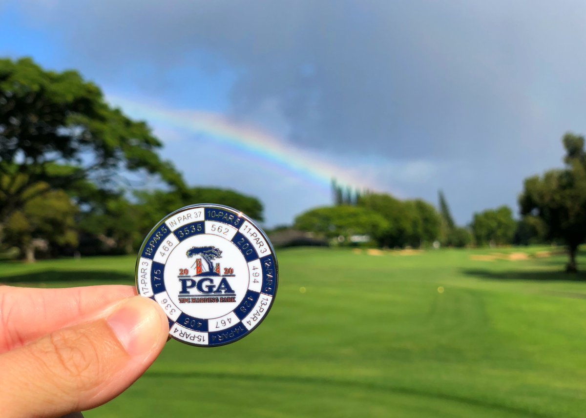 GoGolfKauai.com tweet media