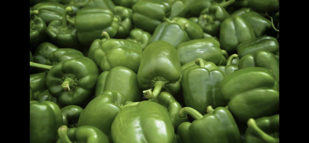 dsissomCCA's tweet photo. Quality Bell Pepper treat with #ultragro Game Changer/Crop Shield. Heat Stress/Sunburn protection. https://t.co/xPnngSdkNN
