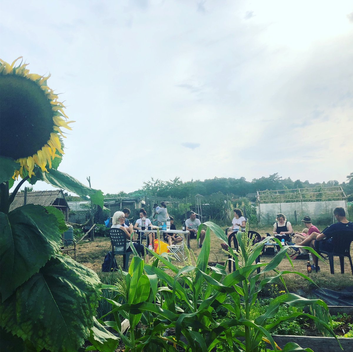 MelRheum's tweet image. Allotment bbq..discussing what vegetable you would be and why #communityworks #vegisbest #weekendsmatter