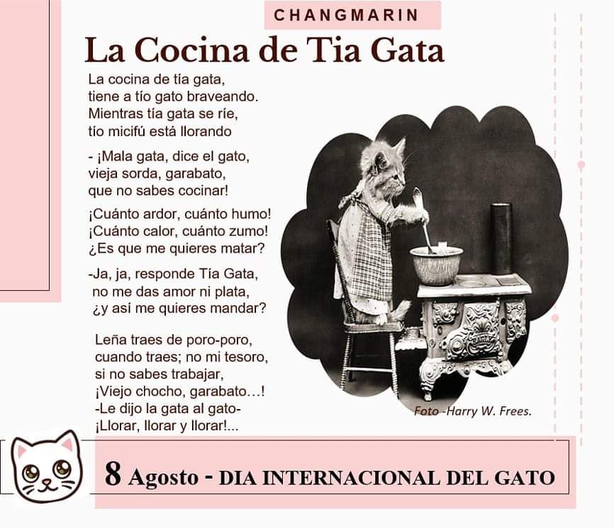 chicochangmarin's tweet photo. La cocina de Tía Gata,
tiene a tío gato braveando.
Mientras tía gata se ríe,
tío micifú está llorando.

La Cocina de Tia Gata (fragmento)
-Changmarin https://t.co/C0AapVxNQK