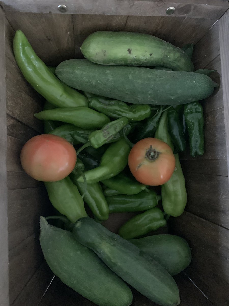 Good day in the garden.