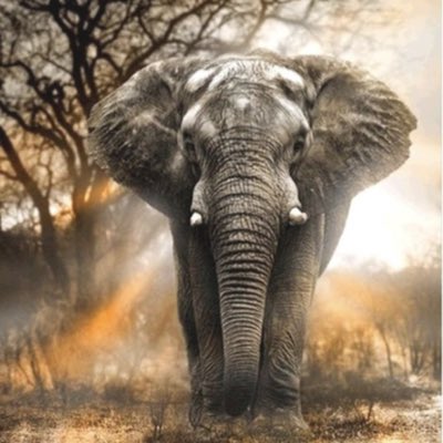 alanraed82's tweet photo. #NewProfilePic https://t.co/ytU6JfYdfz