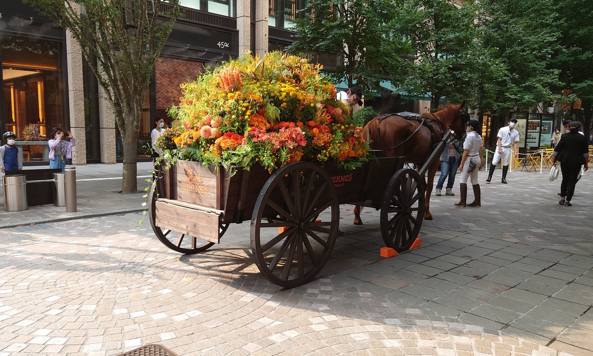 Tando No Twitter エルメス丸の内リニューアルで エルメスの花馬車来てた エルメスオレンジのガーベラ貰った Hermes Hermesmarunouchi エルメス