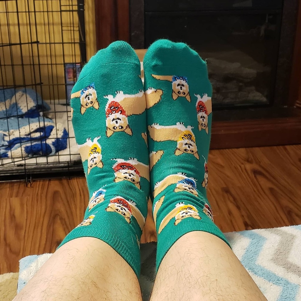 dan_alchemist's tweet photo. Corgi Socks! #corgi #socks #SockFoolery https://t.co/pajopxebxa https://t.co/VptgAuPxSO