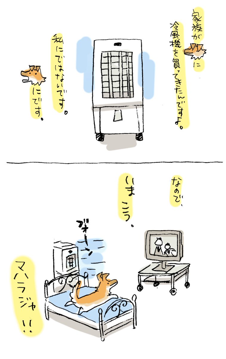 (๏ᆺ๏υ)ナウ 
