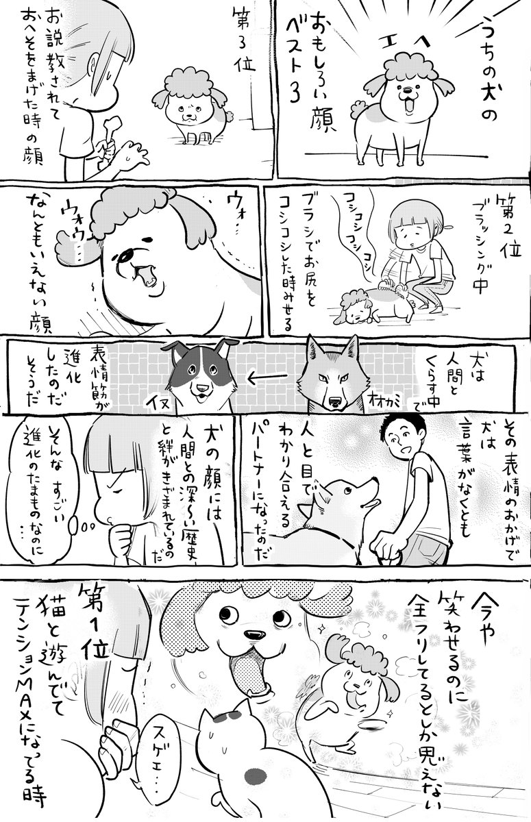 犬と猫どっちも飼ってると、お顔の変化がきょうも楽しい。 