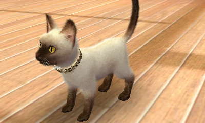 9Toq0gHBam9TB8Z あつ森にもG出るんですね！？ ひー、そういえばとび森