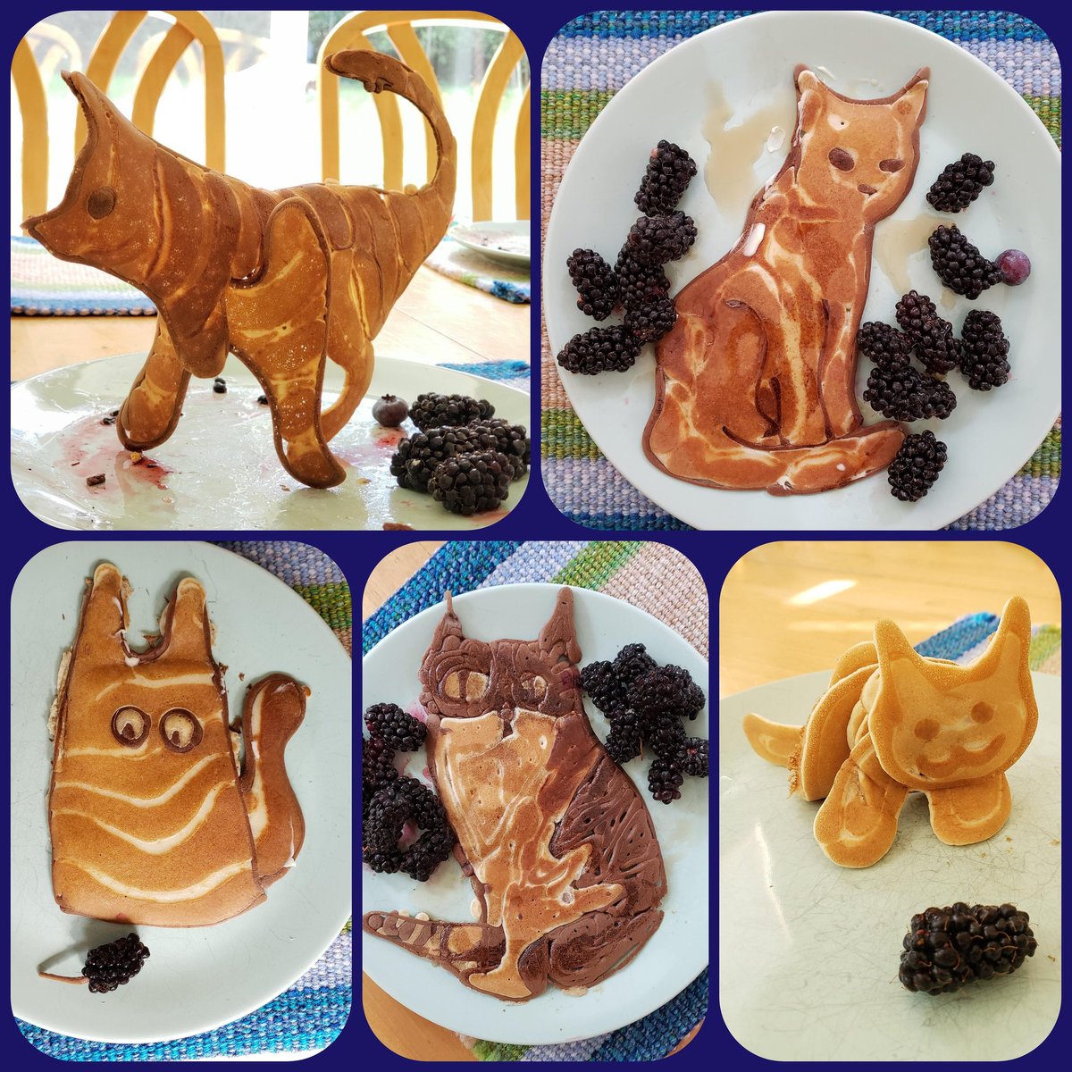 Happy #InternationalCatDay