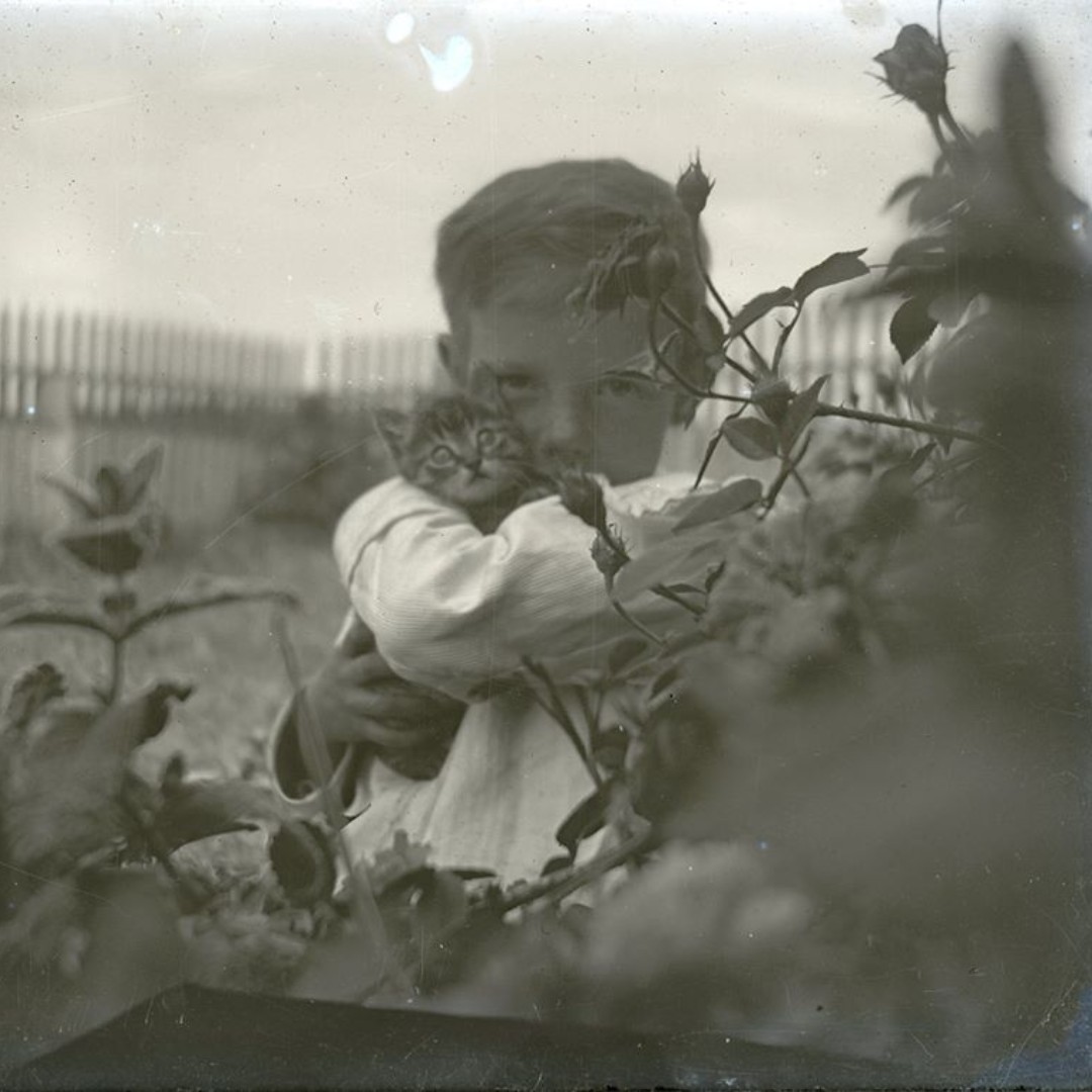 Loving cats throughout the ages 😻 Happy #InternationalCatDay and happy #caturday!