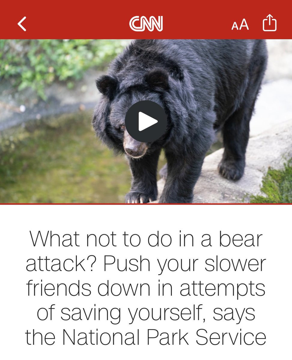 “But what if I’m faster then my slower, uncoordinated friends also running from the bear? Isn’t pushing them down acceptable, sir? What if they are just acquaintances and in the way?”  -Rocket
#GuardiansoftheGalaxy #NationalParks #funny