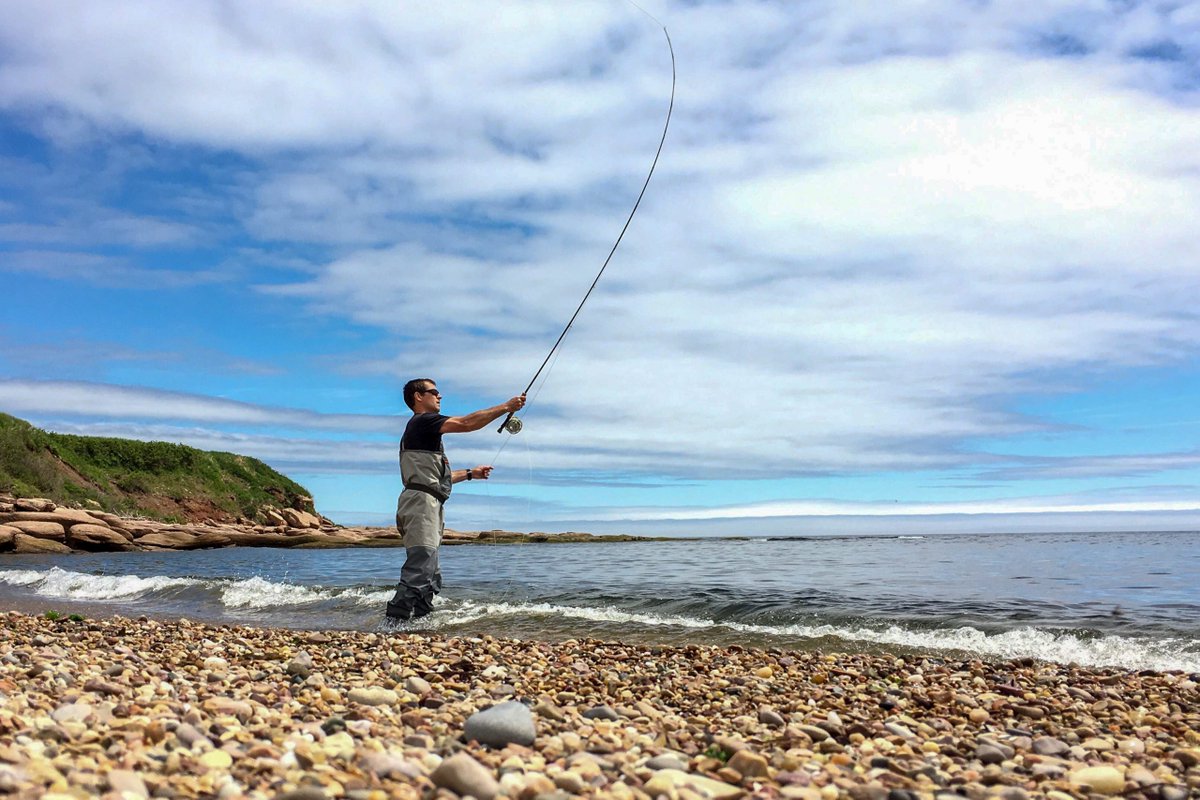 FlyRods_com tweet picture