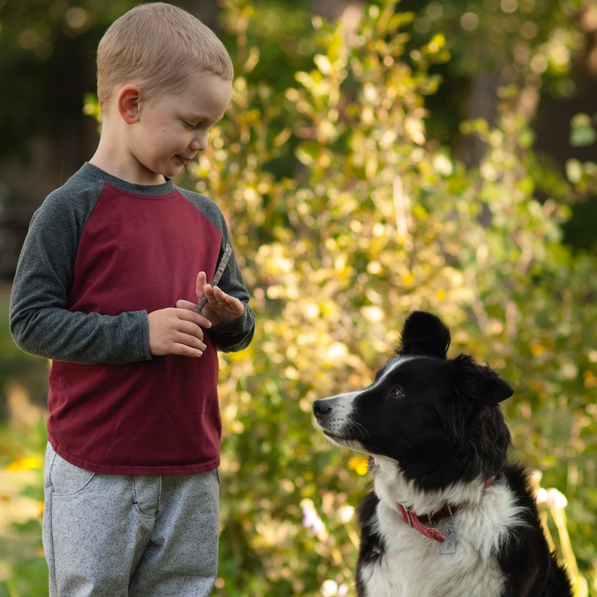 Simply Chic. We love the use of our Grey Wool Heather Solid for these adorable pants. Dog and Boy are pretty adorable too! #classic #fabric #thefabricsnob <a href="/thefabricsnob/">The Fabric Snob</a> thefabricsnob.com/collections/ro…