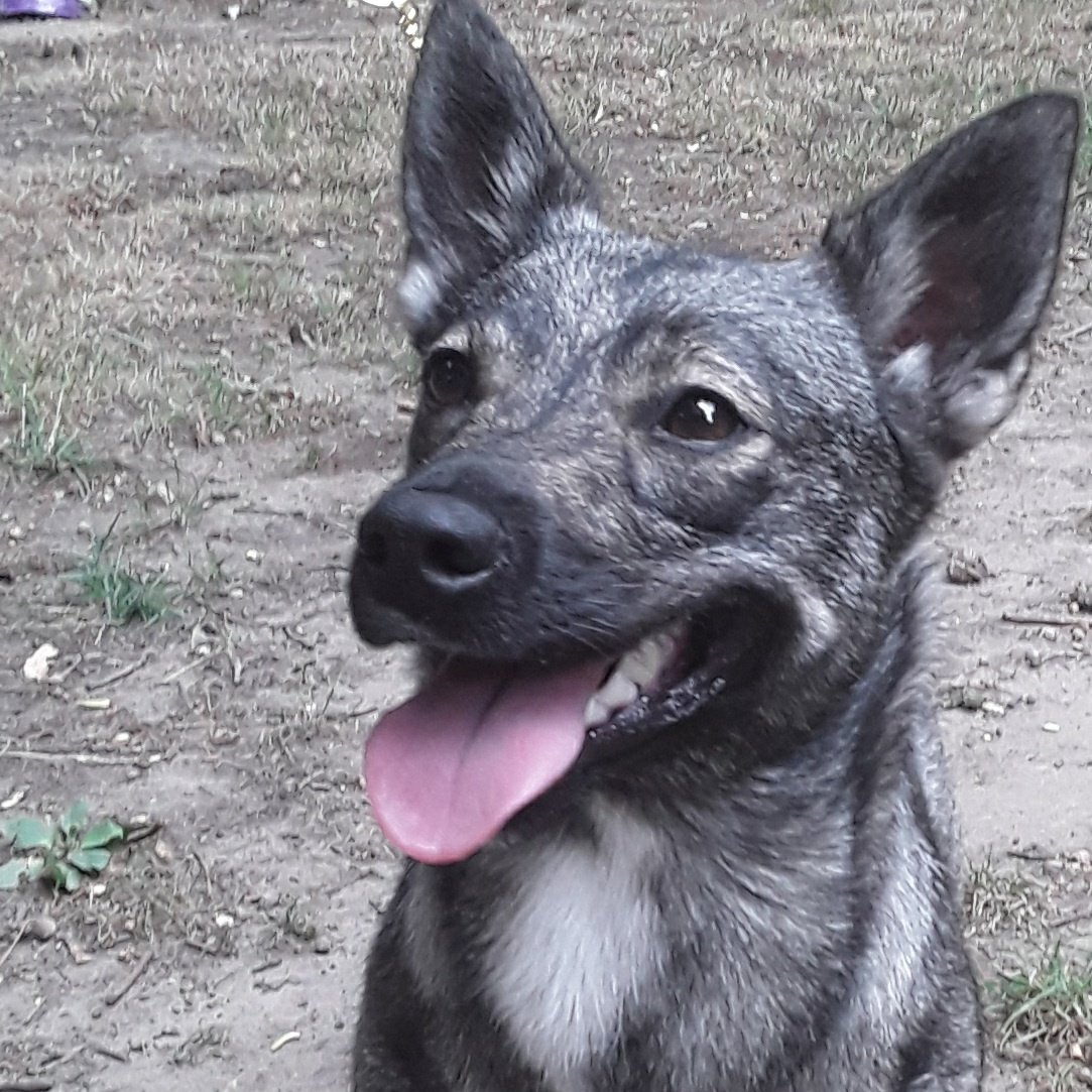 Ruanticx's tweet image. #NewProfilePic