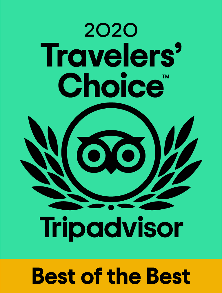 LurrinaR's tweet photo. Gracias a vuestras opiniones en Tripadvisor estamos entre el 10% de los mejores restaurantes del mundo 🥳
¡Eskerrik asko! 🤩
#lurrina #gratitud #eskerrikasko #clientesfelices #travelerschoice #tripadvisor #travelerschoice2020 https://t.co/PBrYL9tj07