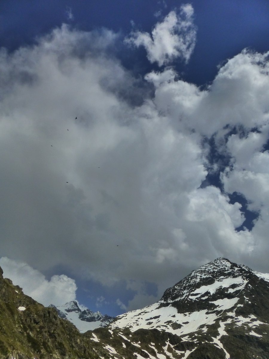 Swiss_Teddy_B's tweet photo. Wo liegt eigentlich der Steinsee? An einem der schönsten Schweizer Alpenpässe! Die Story jetzt auf https://t.co/kaPEcpuHNj lesen! #sustenpass #steinsee #berneroberland #alpenpässe @STMediaCH @BernerOberland @infokantonuri #schweiz https://t.co/o68SiGFI3z