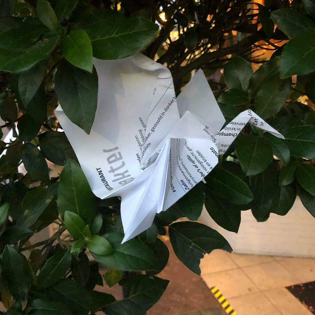 origamitraces's tweet photo. Crane trying to escape the paper menu.
If you are ever In Arnhem, go have dinner at @restaurant_karakter
Highly recommended!
#origamitraces #origami #crane #restaurant_karakter #papermenu https://t.co/QMqK4eLORq https://t.co/aKUQrdEijV