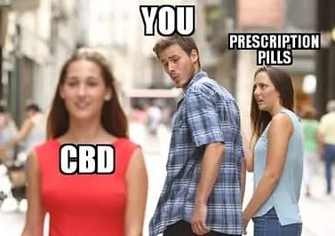 CBDdispensary's tweet image. 😂😂😂 #cbd #cbddispensary #cbddispensaries #cbdwholesale #cbdflowers #cbdbusiness #cbdgummies #cbdheals #cbdstore #cbdhealth #cbdcommunity #cbdbathbomb #cbdwellness #cbdhemp #cbdbeauty #cannabidiol #cannabidioloil #cannabidiols #cannabidiolforhealth