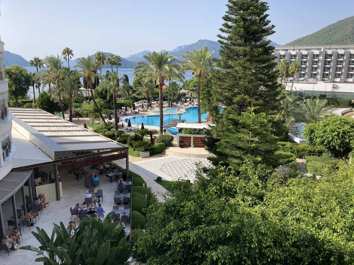 Hey <a href="/steelershockey/">TriggerHub Sheffield Steelers</a> &amp; <a href="/simmsey/">David Simms</a> what about me? From Picture 1 to Picture 2 and all for just a quid. #50/50 By far the biggest and best.