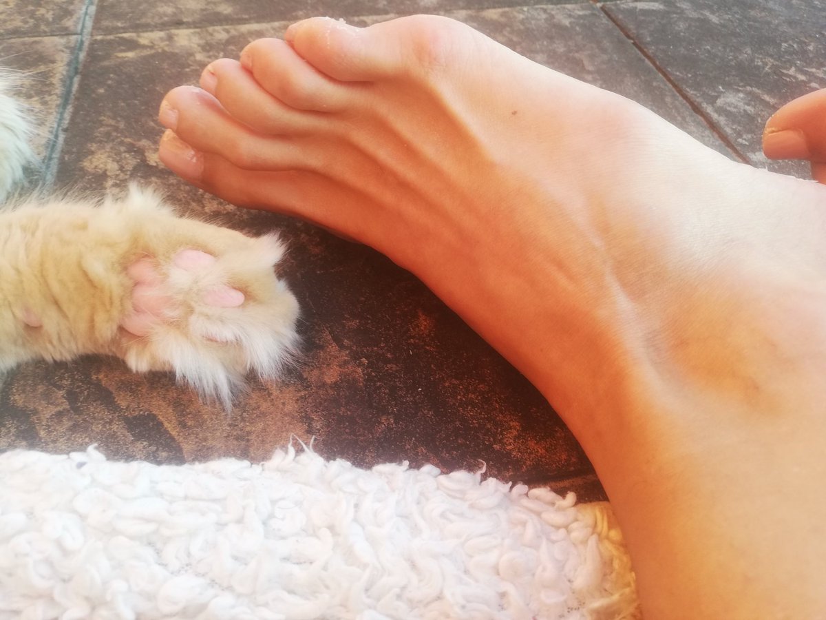 Goodnes22181448's tweet photo. I'm alike my tiger ..we both are very wild and charming 😍
#findom #footfettish #footworshi̇p #feetpics4sale #irishfindom #cutefeet #soles #bemyslave https://t.co/Sf857Xxgh5