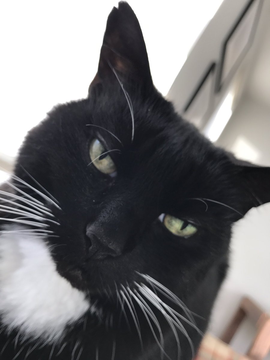 Ann Dearden tweet media