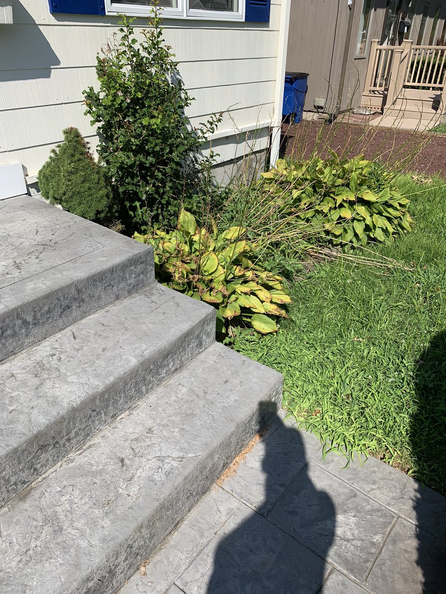 pK_solo1's tweet photo. A huge bucket of tiger lillies, a big bucket of hyacinth bulbs (maybe some dwarf allium too), Spiderwort, hostas, and a bunch of clematis need to still go in the ground. Two small beds to dig up yet as well... getting there ๐๐๐
#garden #garden2020 #tjeBigDig #drystack https://t.co/6DbBupD563
