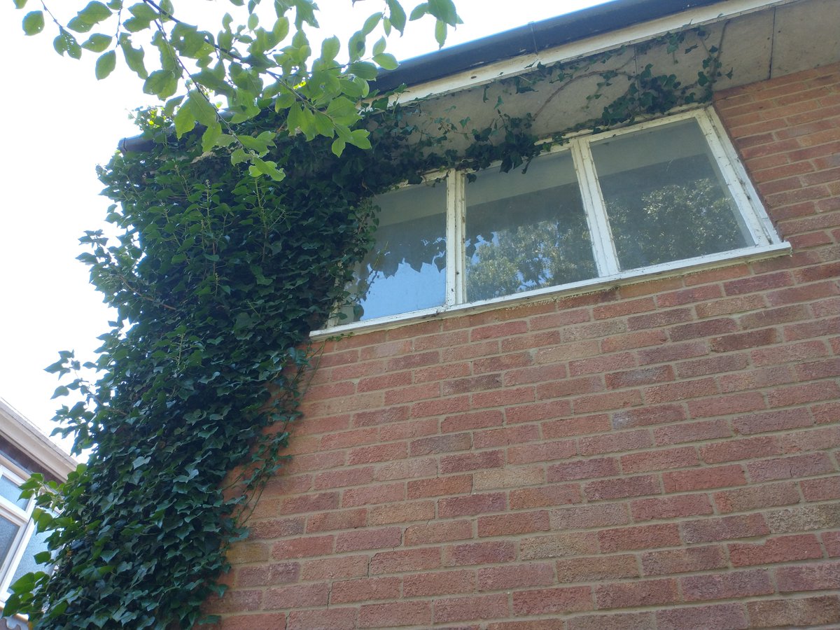 BrantrakeD's tweet image. Today's viewing of this particular property proves just how manic the world of property is at the moment. Upon arrival the agent greets us with: "We already have three full asking price offers from today's viewings".
Now let's see how it stacks for me.