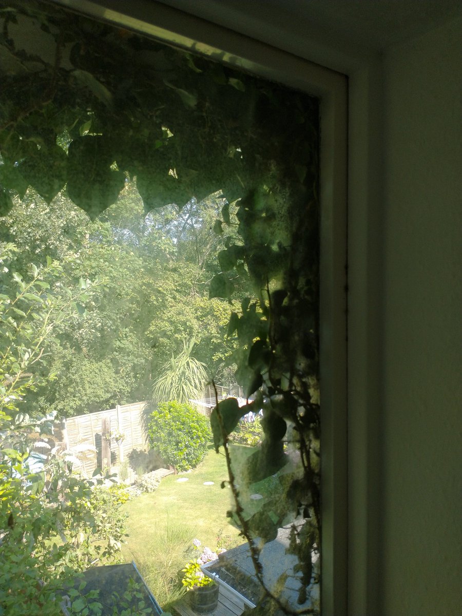 BrantrakeD's tweet image. Today's viewing of this particular property proves just how manic the world of property is at the moment. Upon arrival the agent greets us with: "We already have three full asking price offers from today's viewings".
Now let's see how it stacks for me.