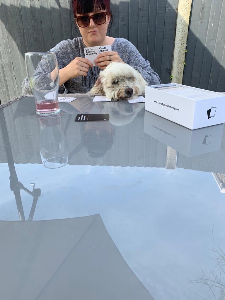 superscatty's tweet photo. Bailey says “oh boy not this game again” https://t.co/fjKTTWJ8R7