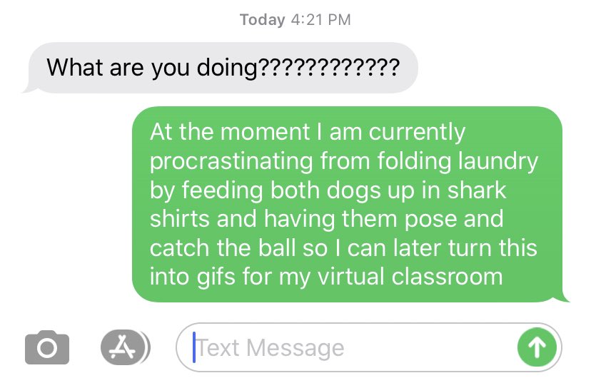 BBuckleySJM's tweet photo. When your best girl / instructional coach wants to know how your Saturday is going...@k_garrity 💙
**feeding should be dressing** https://t.co/6CE8ccC0WF