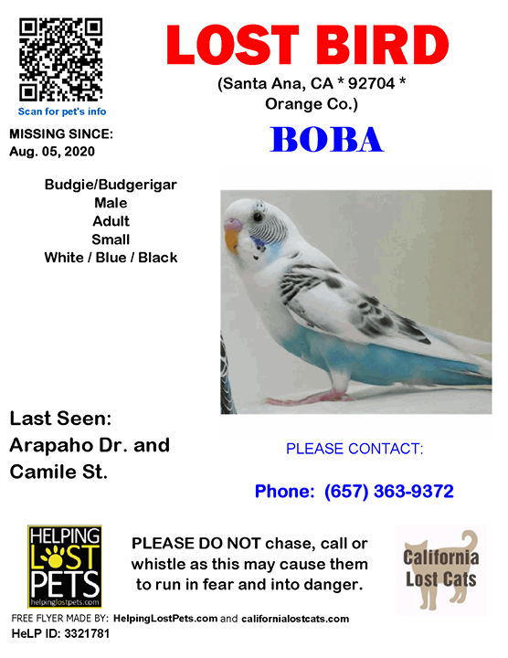 CALostCats's tweet photo. #LOSTBIRD #Boba #SantaAna (Arapaho Dr. &amp; Camile St.)  #CA 92704 #Orange Co. , #Lost #Bird 08-05-2020!, Male #Budgie/Budgerigar White / Blue / Black/The top part of his body is white and the bottom half is light blue. He has black spots/patches on his wings. He also has a pin… https://t.co/rUOrXyPg71