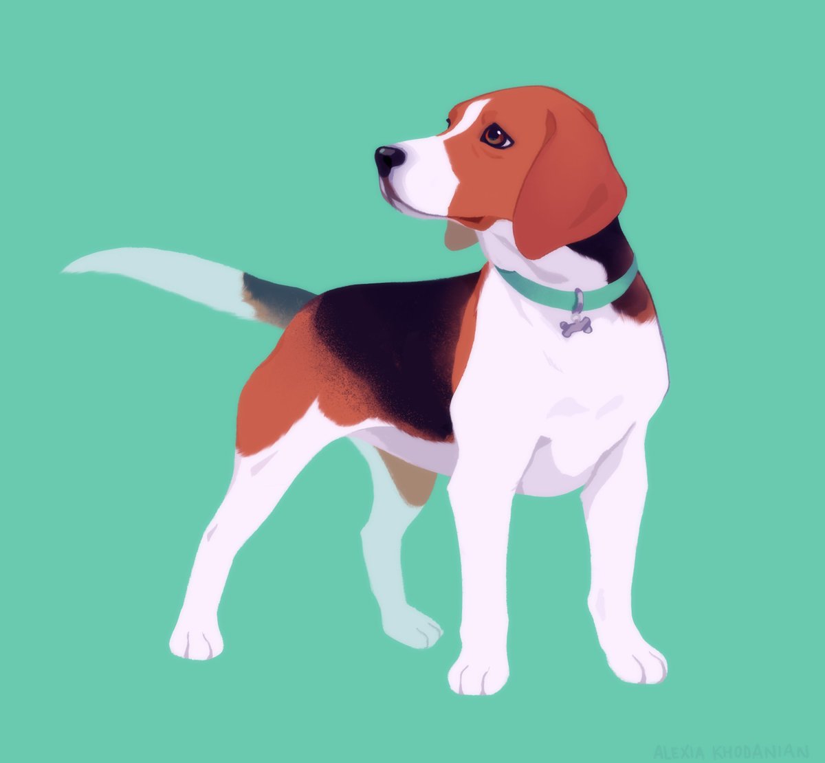  #doggust day 8: the beautiful, talented and iconic Beagle!!