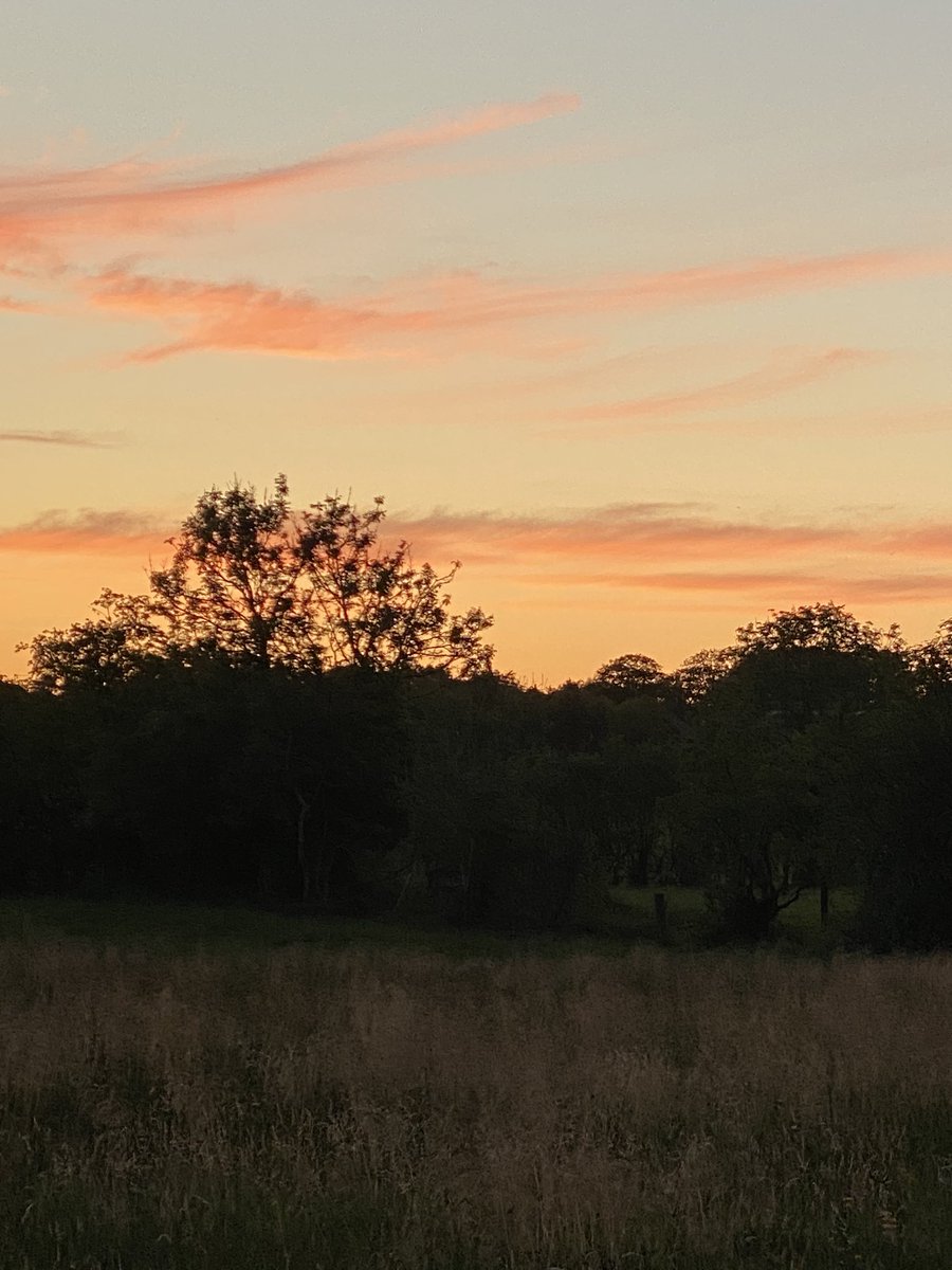 cathyjamieson's tweet photo. Beach day earlier so out for a twilight walk round Mauchline tonight! 

#hopeandmemorieswalkforacs #walkdownthelockdown

If you can spare a small donation to help Ayrshire Cancer Support please go to my just giving page

https://t.co/RycV0OOQ3N https://t.co/3c4yPXorSb